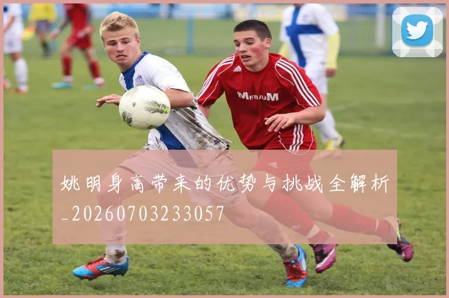 姚明身高带来的优势与挑战全解析_20260703233057