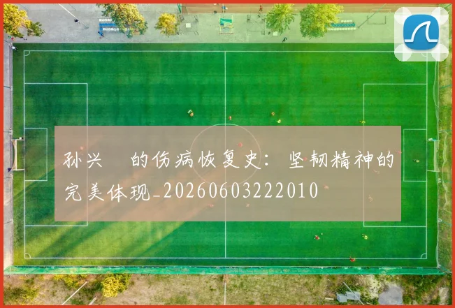 孙兴慜的伤病恢复史:坚韧精神的完美体现_20260603222010